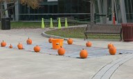 Engineering students launch pumpkins at HVCC's Pumpkin Palooza