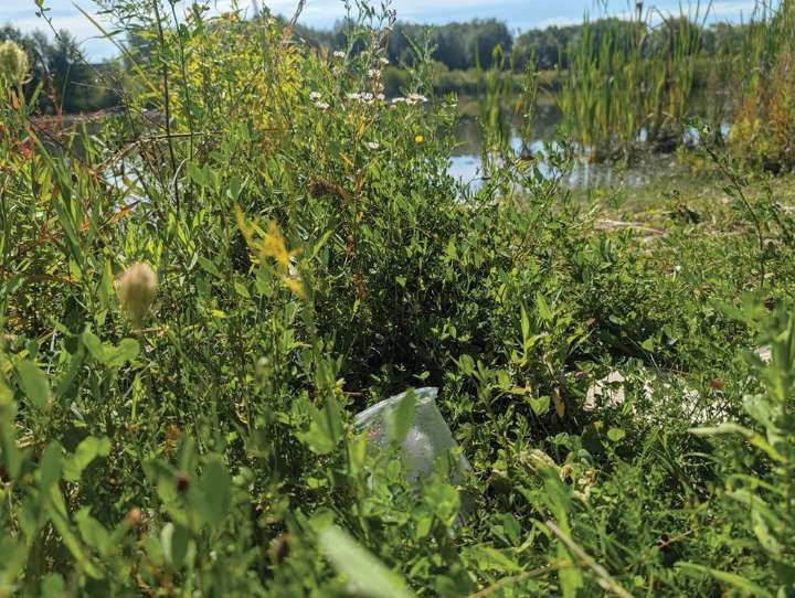 Conservation authority calls on province to amend recycling regulations