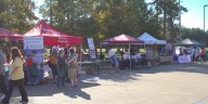 Hardtner Medical Center hosts annual health fair