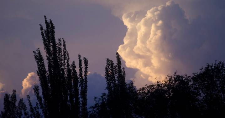 Viento, máximas de 30 °C, ¿y tormentas?: el pronóstico para este Día de la Madre en el Alto Valle
