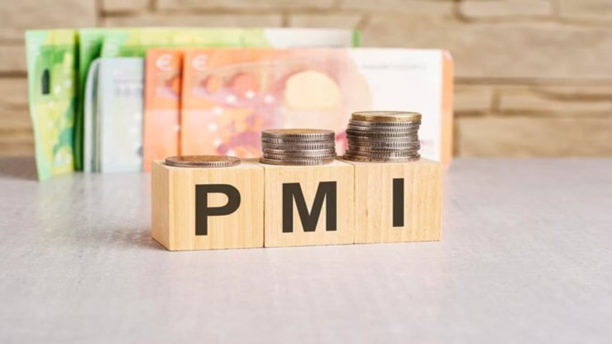 India’s private sector growth eases to 5-month low in October amid weaker demand and higher prices