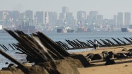 China's Xi calls for 'reunification' after Taiwan vote
