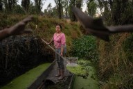In Mexico, women didn’t traditionally inherit island farms. Now some are determined to protect them