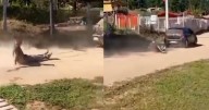 Detención ciudadana: vecinos de Laguna Verde amarran a delincuente a un auto y lo arrastran por un camino de tierra