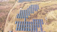 India to become second-largest renewable market as global growth doubles: IEA