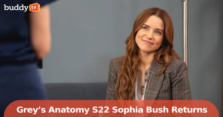 Grey’s Anatomy Season 22 Brings Sophia Bush Back as Cass for Episode 3
