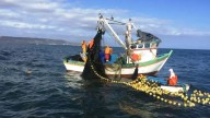 Economía crece 3.18 % en agosto, aunque la pesca es el único sector que marcó en rojo: ¿Qué pasó?