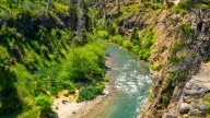 Turismo aventura: el bosque de película en medio de un pueblo