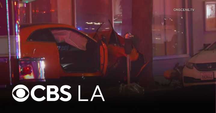 Two killed in hit and run crash in Santa Monica