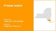 NY weather: Freeze watch affecting part of New York Friday