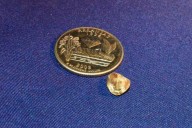 Couple Finds Large Diamond at State Park After Unsuccessful First Search