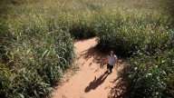 A-maze-ing 25: At'l Do Farms celebrates milestone with fall activities