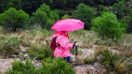 Una ruta bajo la lluvia atravesando esta maravilla natural en un pueblo de Albacete; fotos