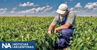 El Gobierno prorrogó la norma que permite trabajar en el campo temporalmente sin perder los planes sociales
