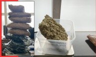 DRI Seizes ₹3 Cr Hydroponic Weed at Bhubaneswar Airport, Kerala Youth from Bangkok Detained