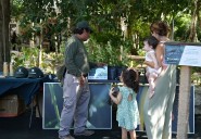 Fundación Eco-Bahia impulsa acciones en la 2ª Celebración a la Mariposa Monarca