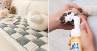 If Your Dog Is A Pain In The Butt, These Clever Things Are Life