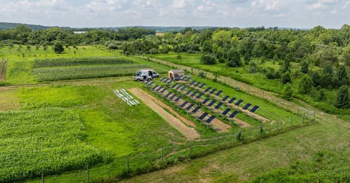 Northern Virginia farm tests if solar and agriculture can live in harmony