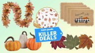 I found the best budget-friendly fall decor on Amazon — shop my 9 favorite deals under $25