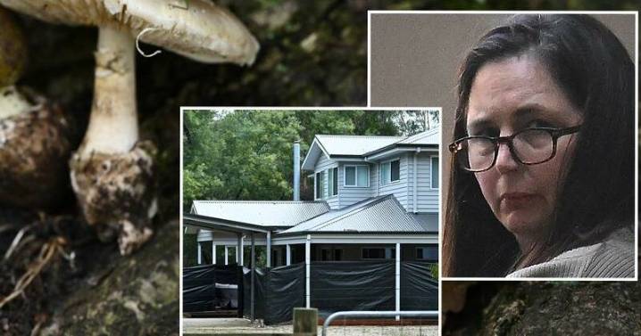 Mushroom murder books hit the shelves, with fresh takes