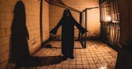 ¿Qué, vamos a la casa del terror… o te tiembla?