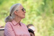 Famed Primatologist, Activist Jane Goodall Dies at Age 91