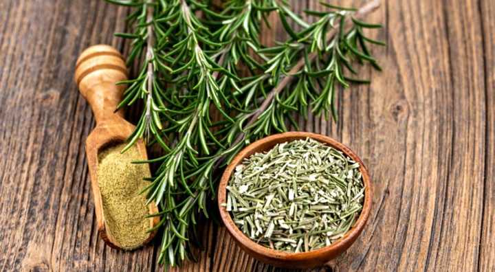 El romero y sus increíbles beneficios para el cerebro: mejora tu concentración y memoria