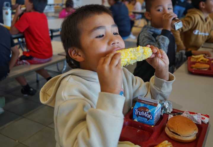 Farm to school cafeteria: Wyoming students experience locally grown food