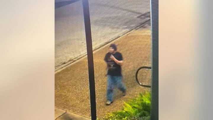 Galveston attempted abduction: Man allegedly grabbed 13