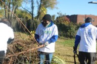 'A Cleaner, Greener Hartford': Love Hartford Week