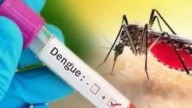 J&K reports around 2,200 dengue cases so far this year