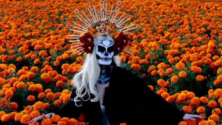 ¿Cuál es el origen e historia del Día de Muertos en México y por qué se celebra?