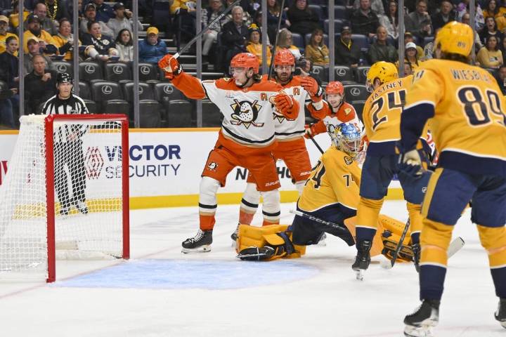 Deadspin | Enforcer Ross Johnston leads Ducks' offense in win over Preds