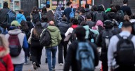 Las empresas y la creación de empleo formal
