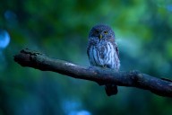Meta convinces Blue Owl to cut $30B check for Hyperion DC • The Register