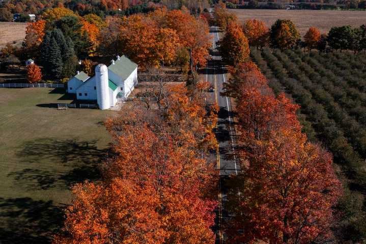 Michigan fall colors are having a moment, where to see the most dramatic displays before they’re gone