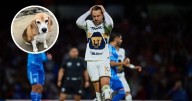 ¡Se vale llorar! Aaron Ramsey envía un desgarrador mensaje respecto a su perrita Halo