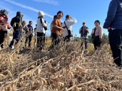 Minnesota soybean farmers host Southeast Asia buyers