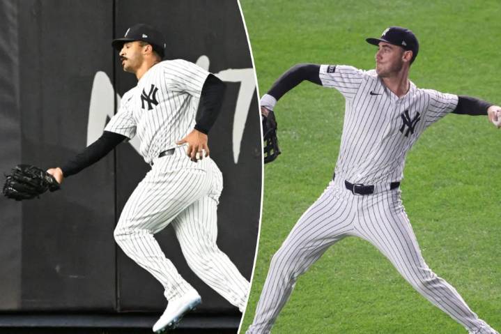 Yankees already know their best center field options in rough market