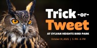 Sylvan Heights hosting Trick-or-Tweet Halloween event