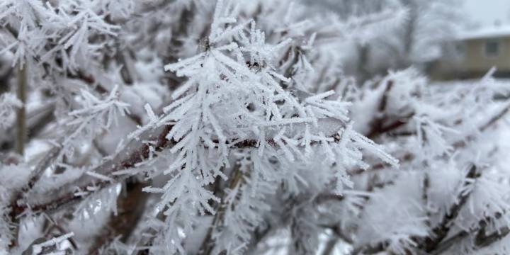 First widespread frost expected across Quad Cities area