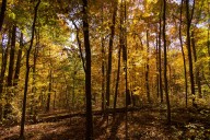 South Euclid man accused of carjacking woman in Cuyahoga Valley National Park