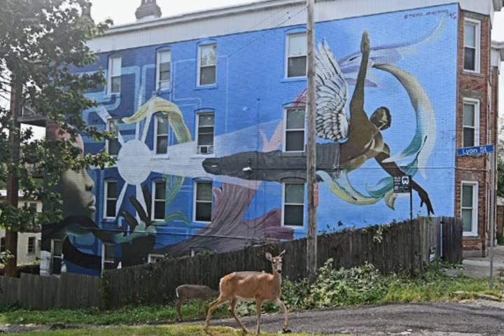 ‘The Hill Has Wings’ Mural Takes Flight in the Hill District
