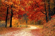 Ohio’s Fall Colors Are Spreading Across the State, but May not...