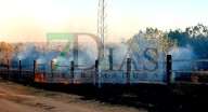 Un incendio en una finca de Badajoz calcina más de un centenar de olivos