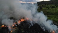 Las ONG denuncian en la COP30 la ambivalencia de Brasil y la falta de ambición y recursos