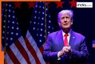 JACKPOT for THIS Muslim country amid Trump's tariff war, discovers mineral reserve around 1.4 million tonnes, requests India to help in...