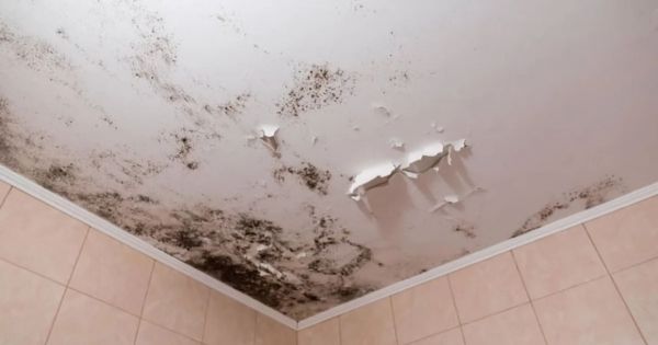 Chau humedad: el truco alemán para eliminar las manchas y el moho de las paredes en un instante