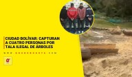 Ciudad Bolívar: Capturan a cuatro personas por tala ilegal de árboles