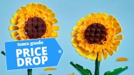 These Lego deals are Black Friday-worthy — 15 discounts you shouldn’t wait for on Botanicals, Creator, Star Wars and more